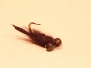 black-ops-carp-fly-7