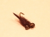 black-ops-carp-fly-8