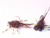 black-ops-creeper-carp-fly-21