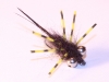 black-ops-creeper-carp-fly-5