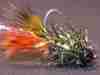 carp-chronic-carp-fly-14