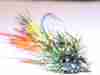 carp-chronic-carp-fly-9 Carp fly Pattern Carp flies