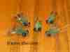 carp-fly-crayfish-squirrel-tail