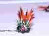 crayfish-chronic-carp-fly-15