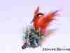 crayfish-chronic-carp-fly-5