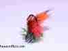 crayfish-chronic-carp-fly-6