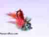 crayfish-chronic-carp-fly-7
