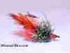 crayfish-chronic-carp-fly