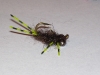 creeping-carp-tickler-carp-fly-2