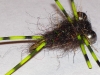 creeping-carp-tickler-carp-fly-7