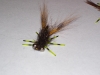 creeping-craw-carp-fly-16
