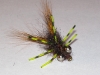 creeping-craw-carp-fly-5