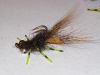 creeping-craw-carp-fly-8