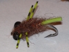 creeping-line-tail-carp-fly-15