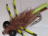 creeping-line-tail-carp-fly-3