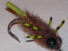 creeping-line-tail-carp-fly-5