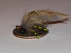 creeping-muskrat-carp-fly-10