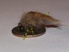 creeping-muskrat-carp-fly-11