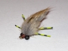 creeping-muskrat-carp-fly-2
