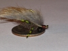 creeping-muskrat-carp-fly