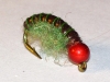 scud-carp-fly