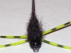 genx-carp-fly-11
