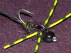 Carp Fly Pattern Carp flies bead head with legs