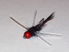 genx-carp-fly-5