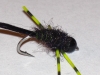 genx-carp-fly