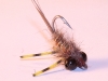gold-ribbed-creeper-nymph-carp-fly-4