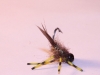 gold-ribbed-creeper-nymph-carp-fly-6
