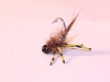 Carp flies