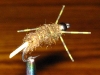line-tail-bead-headed-caddis-3-copy