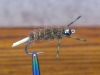 line-tail-bead-headed-caddis-carp-fly-5