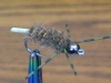 line-tail-bead-headed-caddis-carp-fly-7
