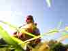 carp-fly-fishing-3