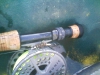 catfish-fly-fishing-12