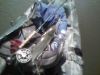 catfish-fly-fishing-15