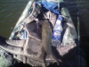 catfish-fly-fishing-18