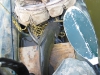 catfish-fly-fishing-31