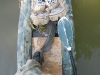 catfish-fly-fishing-32