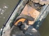 catfish-fly-fishing-35