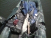 catfish-fly-fishing-7