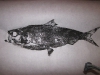 water-cam-136