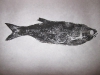 water-cam-137