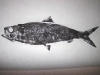 water-cam-139
