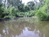 june-12th-2011-sunday-blue-cat-carp-etc-024