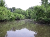 june-12th-2011-sunday-blue-cat-carp-etc-035