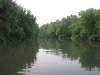 june-8th-4am-rise-cats-and-carp-044