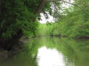 water-cam-024